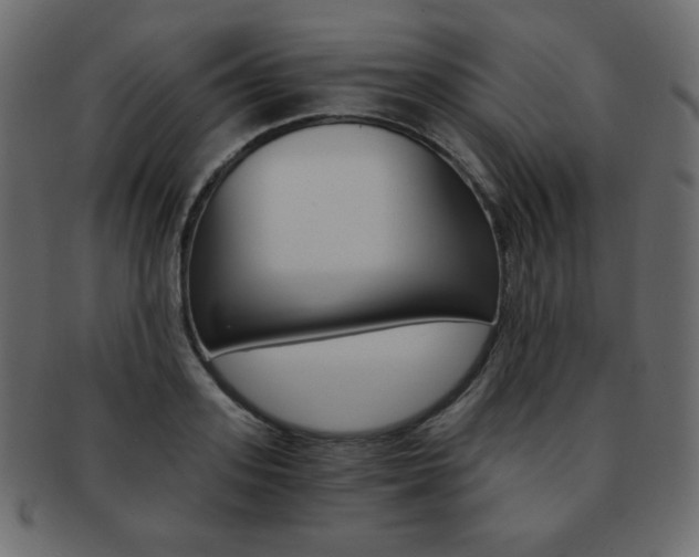 X0000093150939200709261013