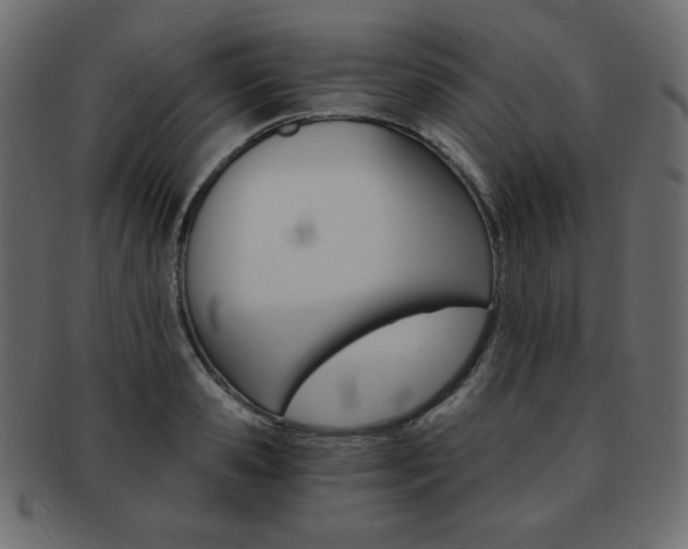 X0000093150941200709261013