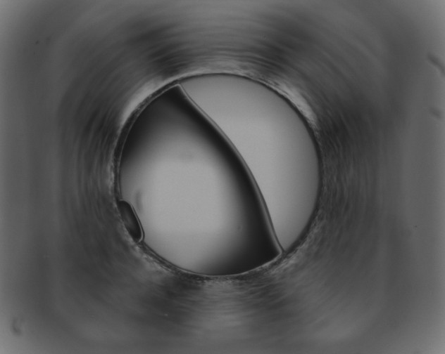 X0000093150944200709261013
