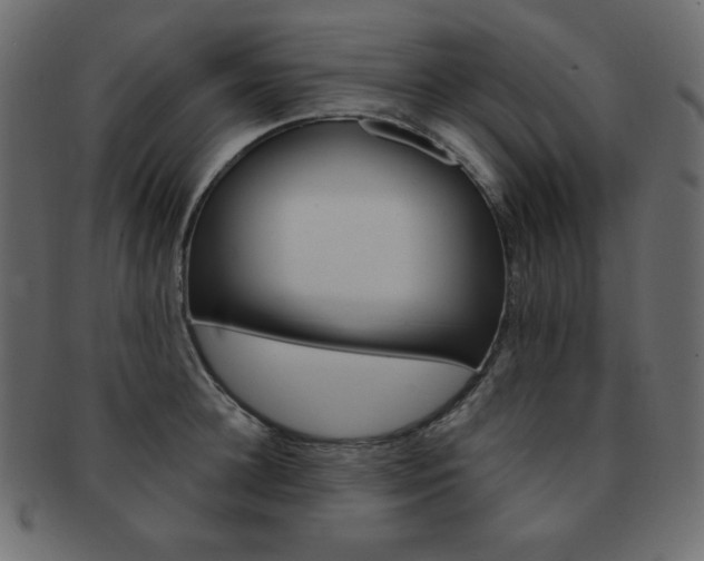 X0000093150948200709261013