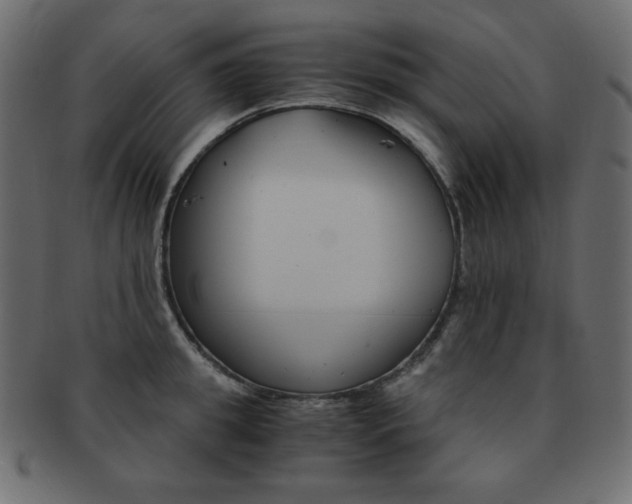 X0000093150949200709261013
