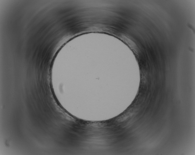 X0000093150950200709261013