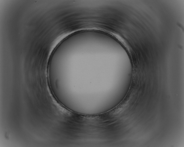 X0000093150951200709261013