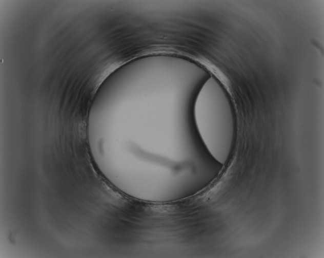X0000093150953200709261013