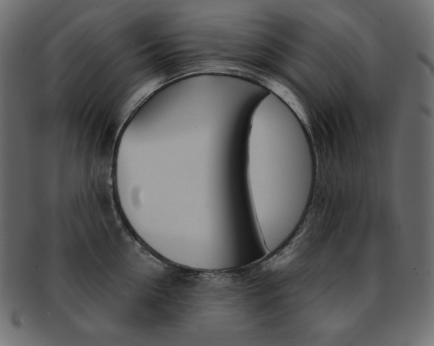 X0000093150954200709261013