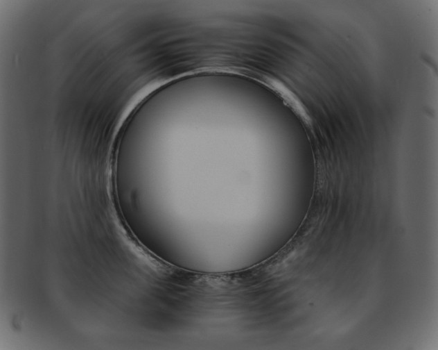 X0000093150955200709261013