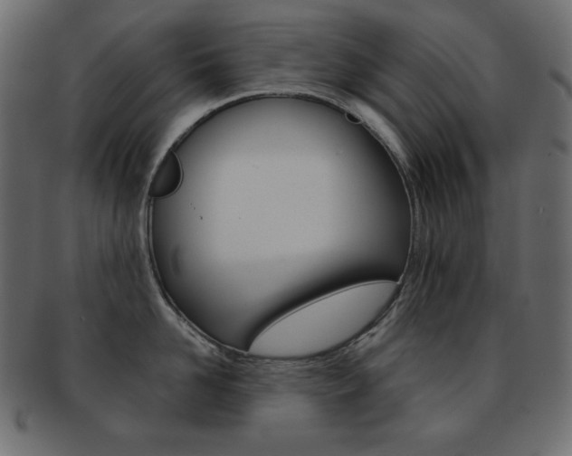 X0000093150958200709261013