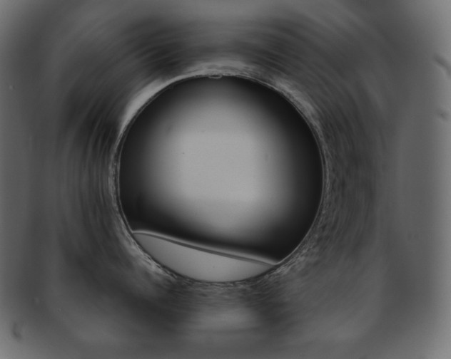 X0000093150960200709261013