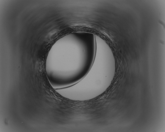 X0000093150965200709261013