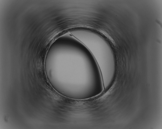 X0000093150969200709261013
