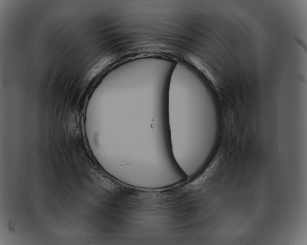 X0000093150970200709261013