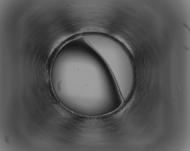 X0000093150973200709261013