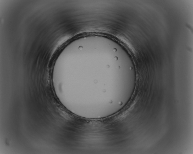 X0000093150974200709261013