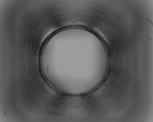 X0000093150975200709261013
