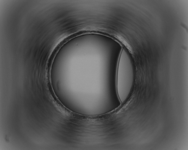 X0000093150976200709261013