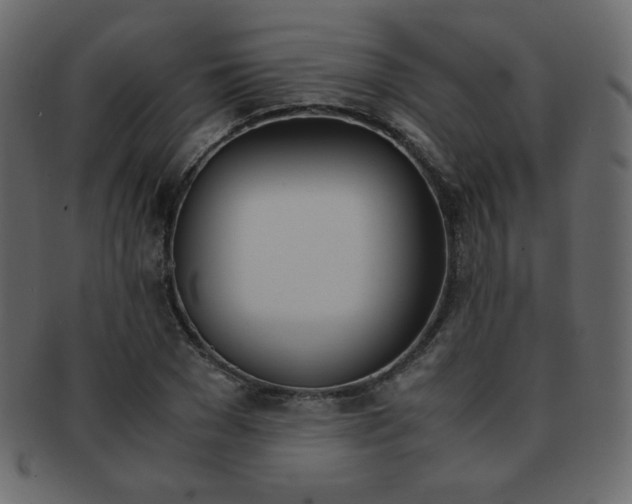 X0000093150977200709261013