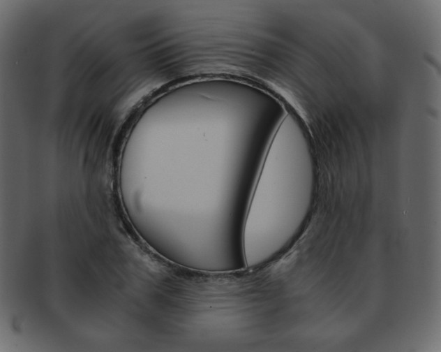 X0000093150979200709261013