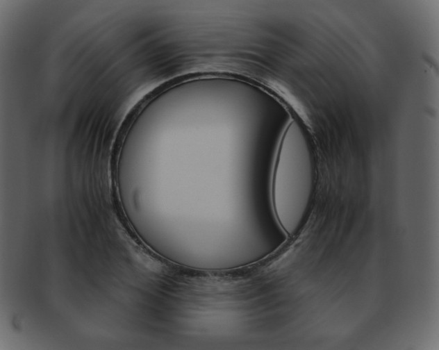 X0000093150980200709261013