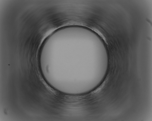X0000093150981200709261013