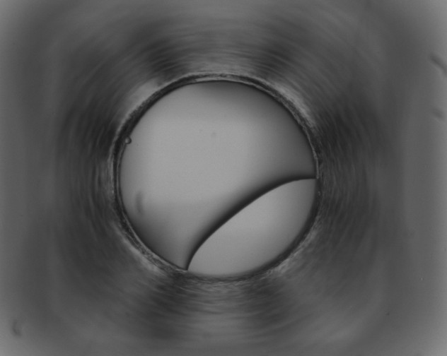 X0000093150982200709261013