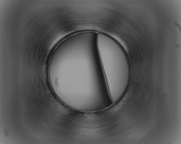 X0000093150983200709261013