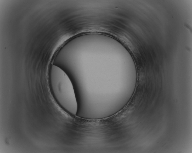 X0000093150990200709261012