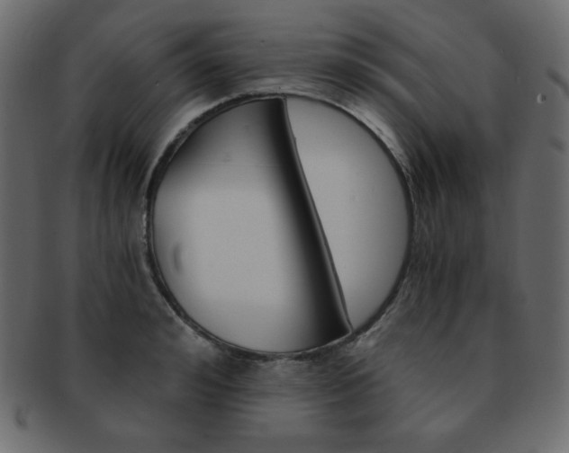 X0000093150992200709261012