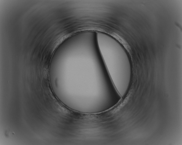 X0000093150993200709261012