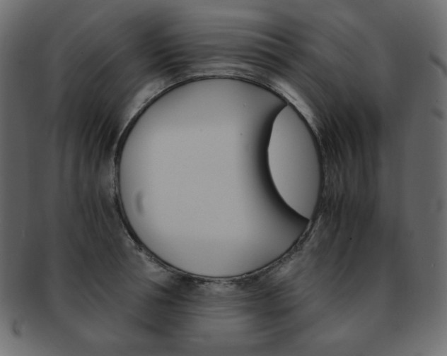 X0000093150994200709261012