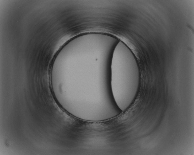 X0000093150998200709261012
