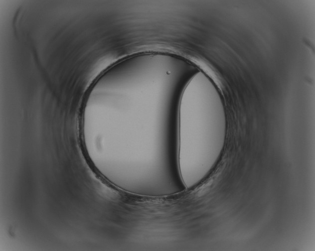 X0000093150999200709261012