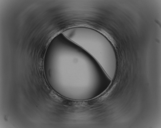 X0000093151001200709261012