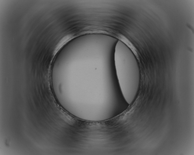 X0000093151002200709261012