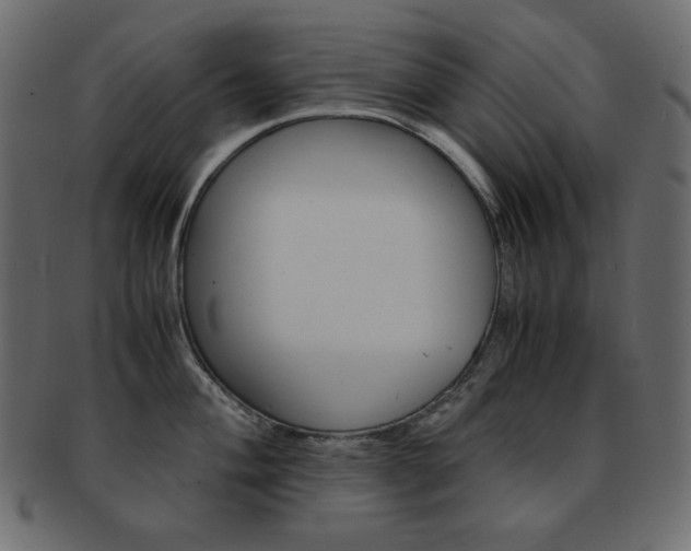 X0000093151004200709261012