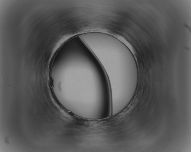 X0000093151005200709261012