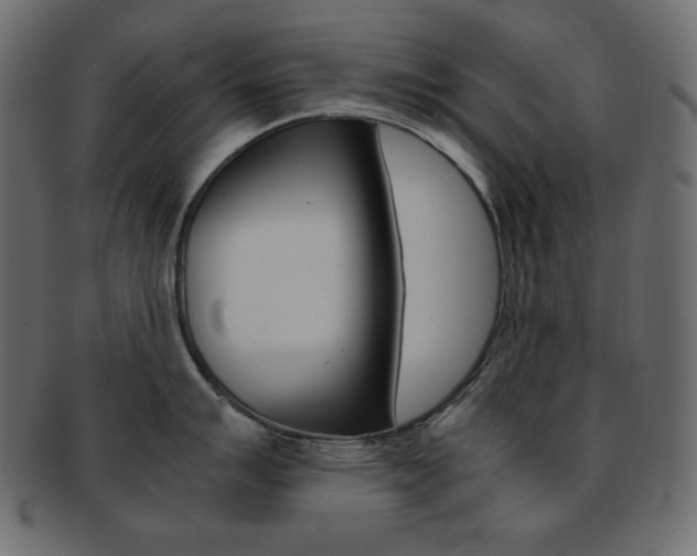 X0000093151007200709261012
