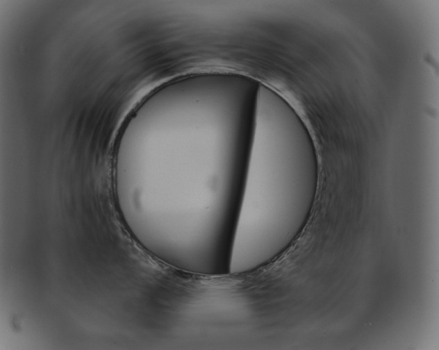 X0000093151008200709261012