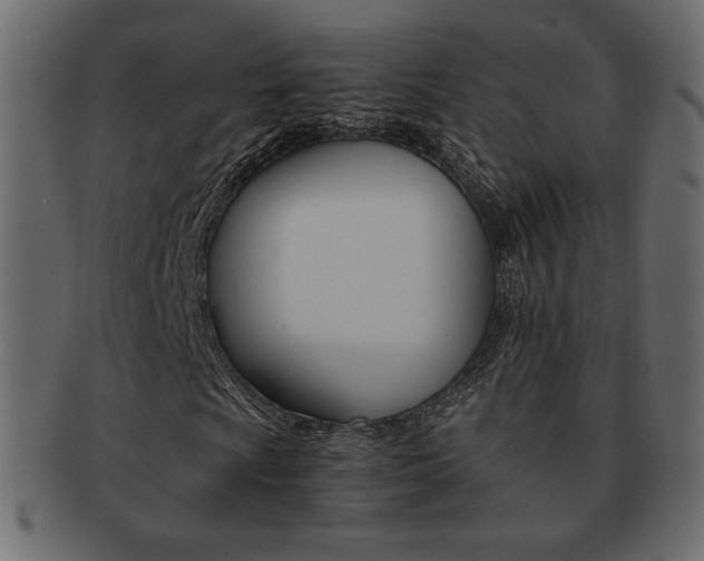 X0000093151009200709261012