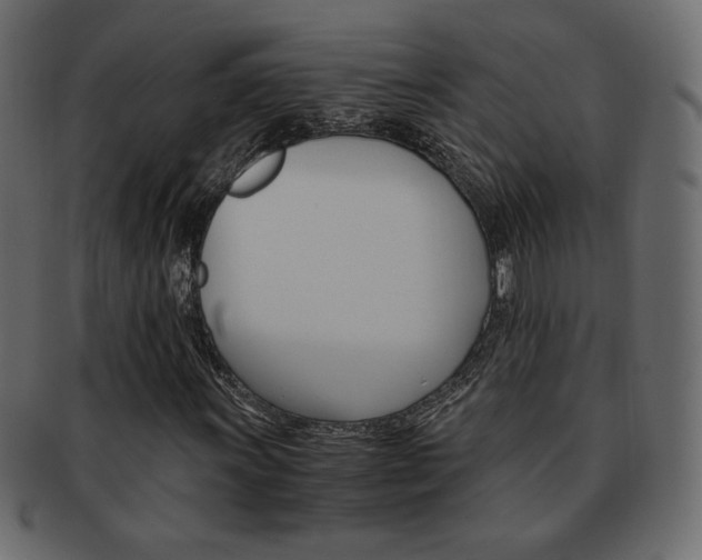 X0000093151011200709261012