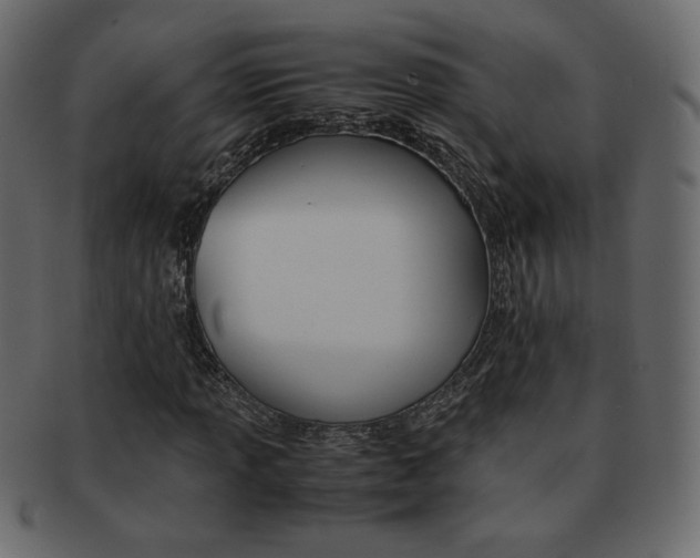 X0000093151013200709261012
