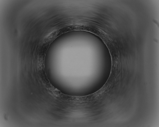 X0000093151014200709261012