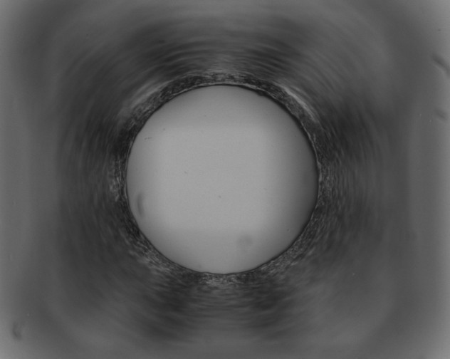X0000093151015200709261012