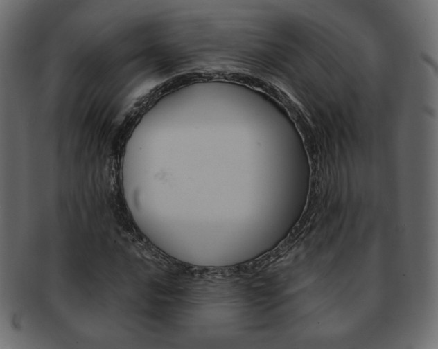 X0000093151016200709261012