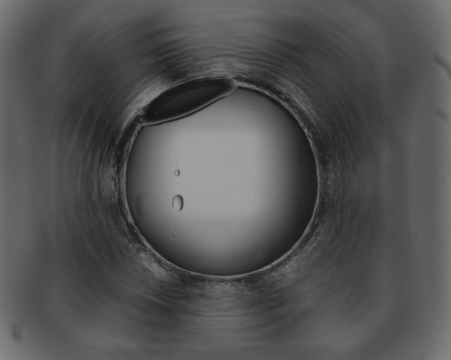 X0000093151018200709261012