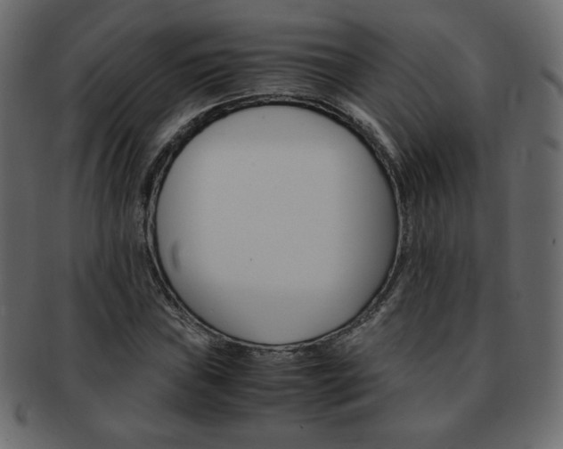 X0000093151019200709261012