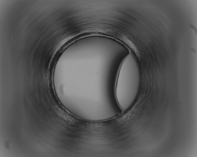 X0000093151020200709261012