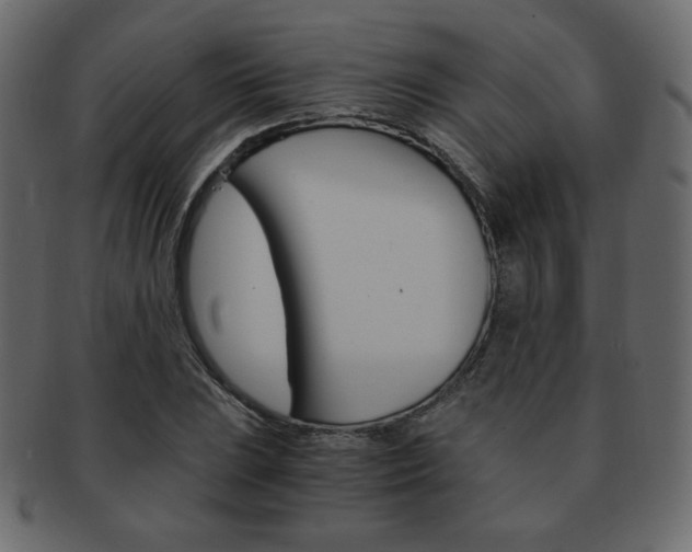 X0000093151023200709261012