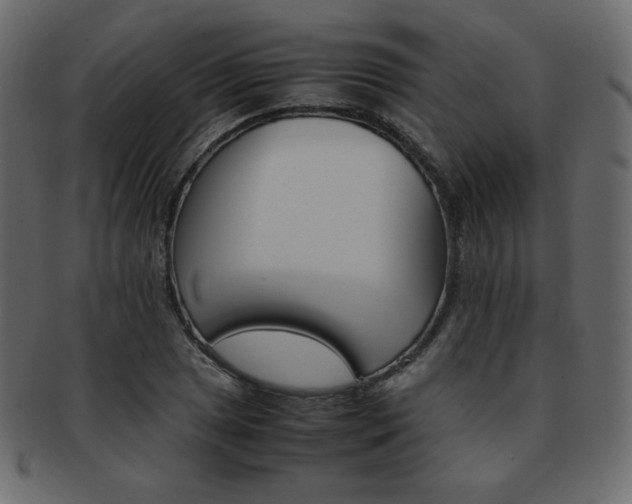X0000093151025200709261012