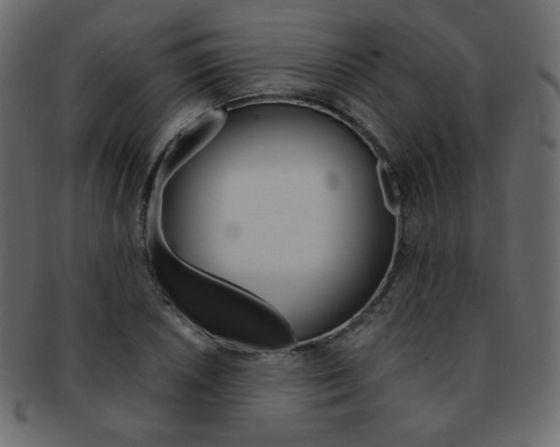 X0000093151026200709261012