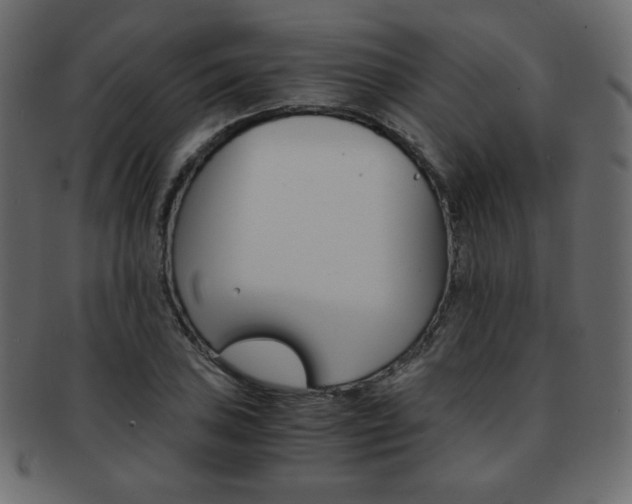 X0000093151027200709261012